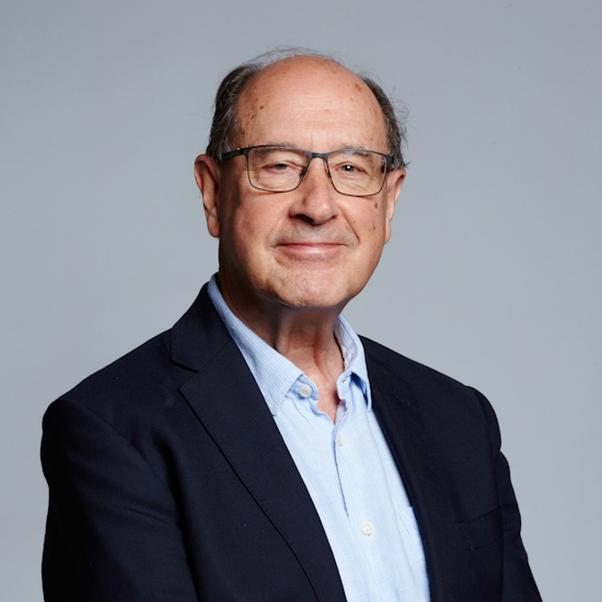 Professor Bernard F Schutz FRS