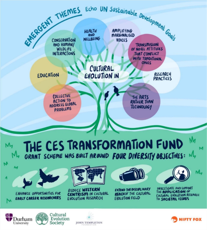 The CES Transformation Fund infographic