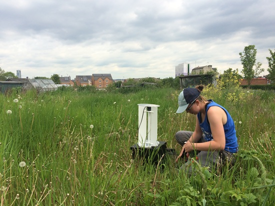 Photograph of Emilie Ellis with a light trap for measuring insect pollinator activity. Emilie is kneeling down beside the white device, in a field of grass. Photo taken by Paul McAndrew.