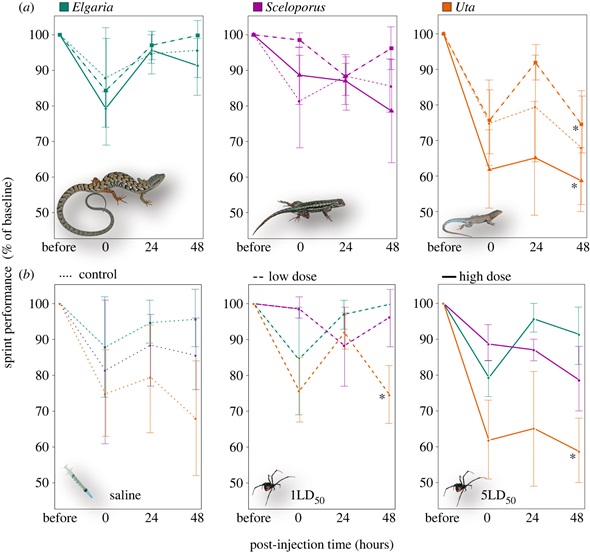 Figure 1. https://royalsocietypublishing.org/doi/10.1098/rsos.221012