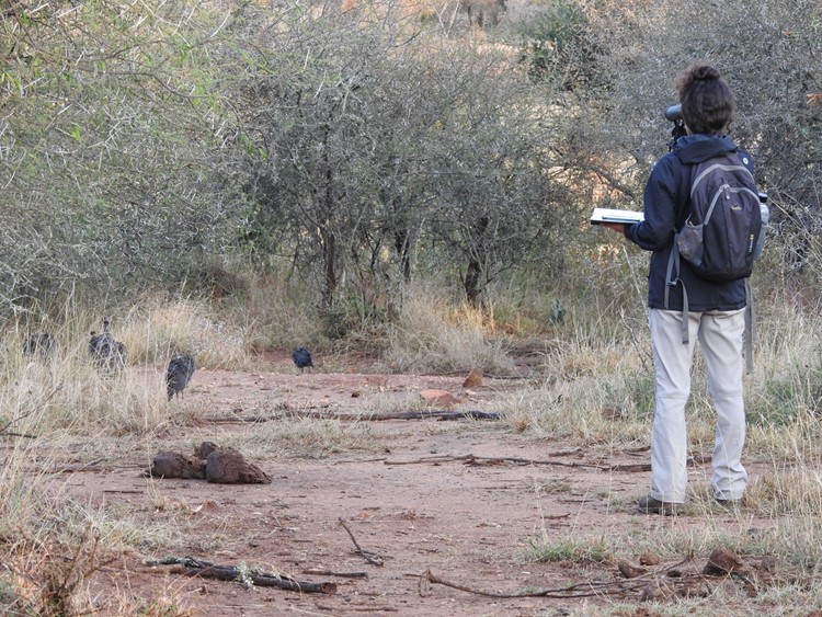 Danai Papageorgiou doing fieldwork - using binoculars to look at birds.