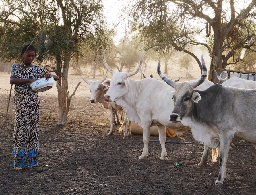Woman tending to farm animals (Credit Poppy Berdoy-Webster)