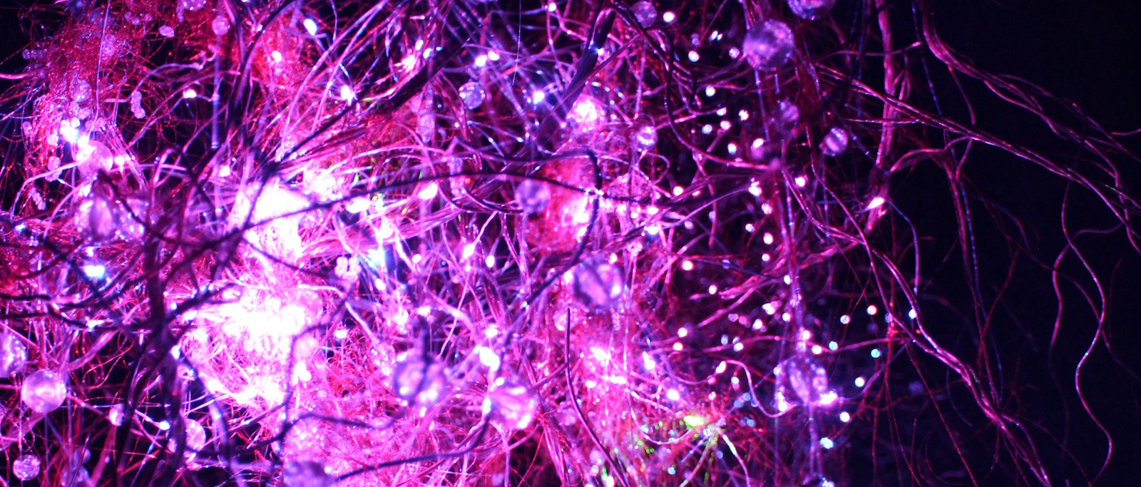 a purple light-based art installation against a dark background, that resembles the brain’s neural networks