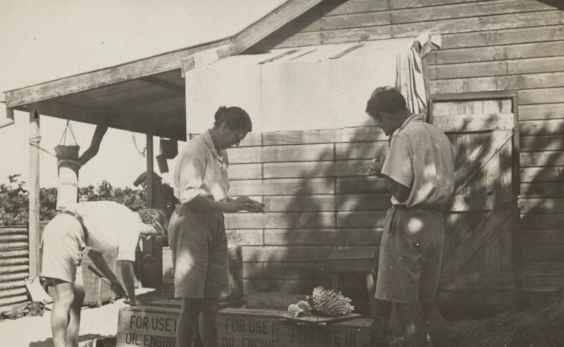 Sheina Marshall & C M Yonge cleaning corals, ca. 1928