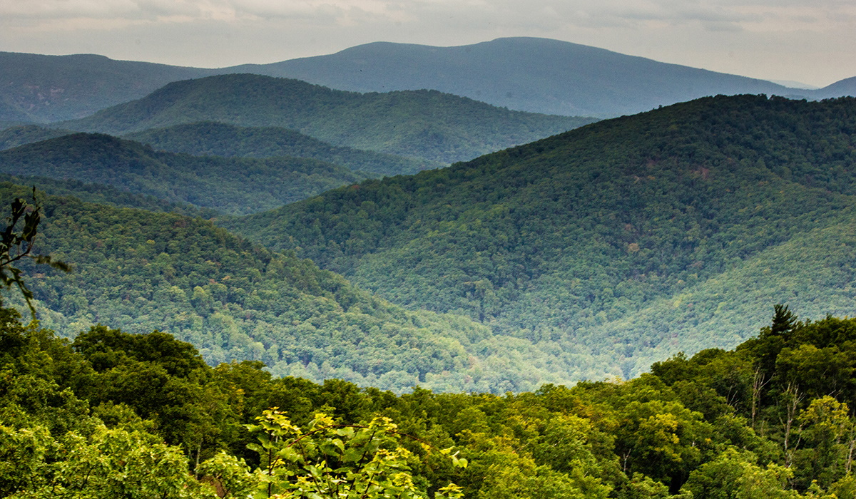 Misty day at Shenandoah National Park, Virginia ©sreenath_k
