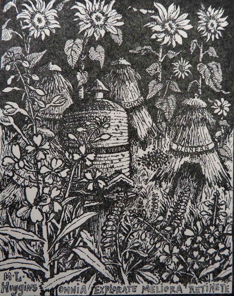 A representation of scientific societies, by Margaret Huggins