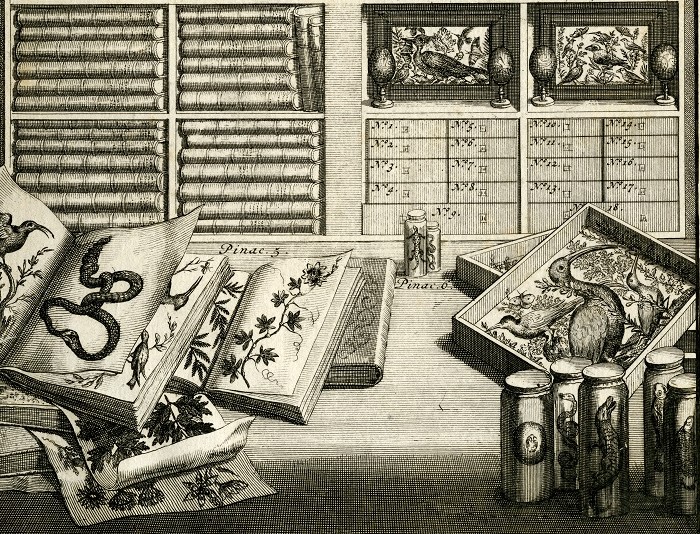 Collecting and collections: digital lives and afterlives workshop