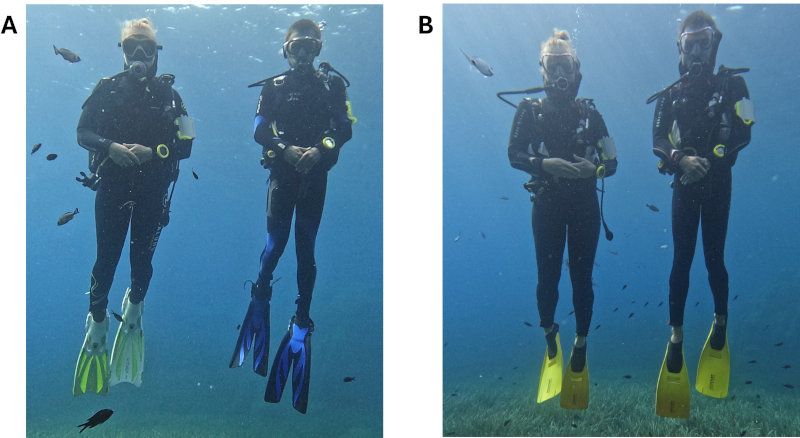 Two divers wearing (A) different dive gear and (B) identical dive gear.